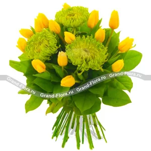 Каприз Каприз